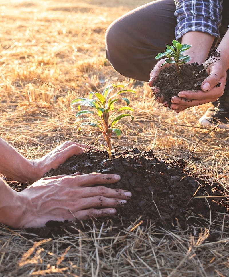 Sustainability